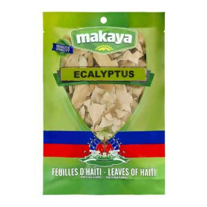 Feuilles Ecalyptus